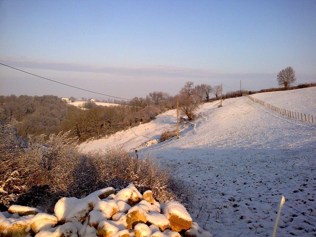 Domaine De Noyer Bed and Breakfast Saint-Christophe-en-Brionnais Δωμάτιο φωτογραφία